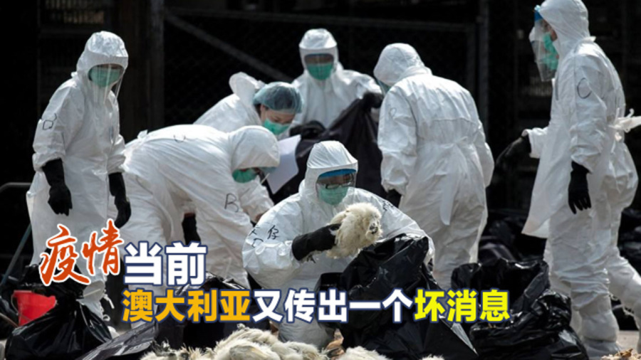 2025年1月 第1381页
