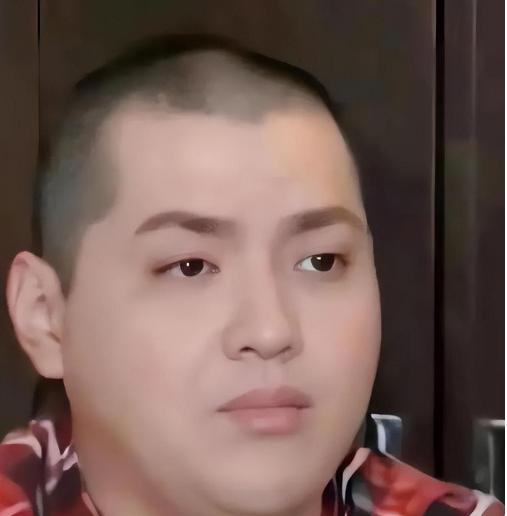 吴亦凡最新图片，探索偶像魅力与形象变迁的奇异之旅