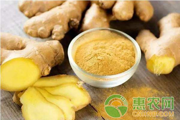 最新姜价动态剖析与市场走势展望，影响因素及未来趋势展望