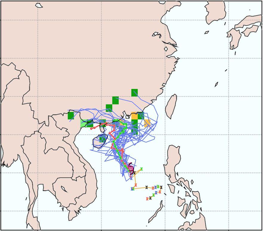 最新台风14号来袭，影响及应对战略