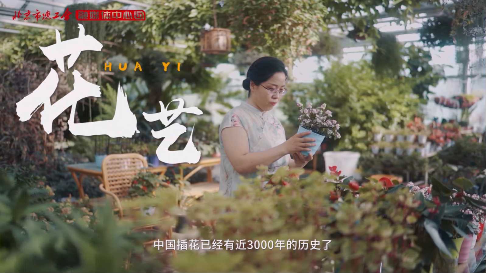花圣最新视频，绽放之美与奇异魅力