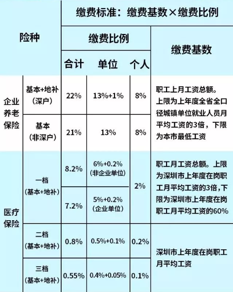 深度剖析，最新社保比例动态及其影响与展望
