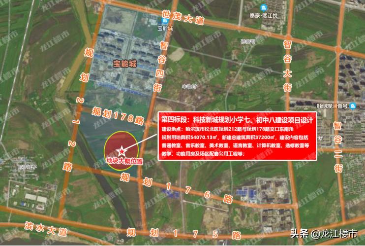 跃翰 第3页