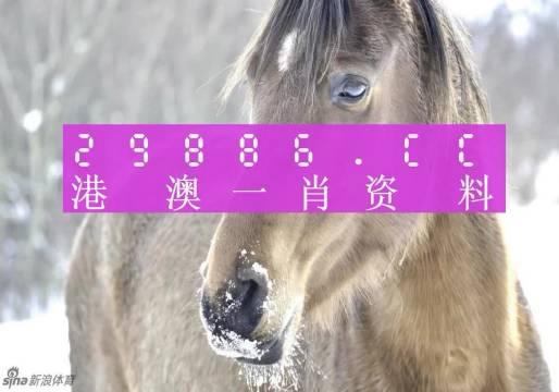澳门一肖一特100精准免费，有用解答诠释落实