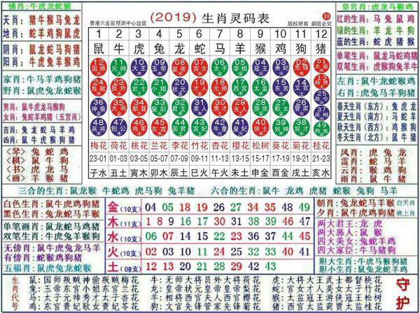 澳门正版资料大全资料生肖卡，实地数据验证战略