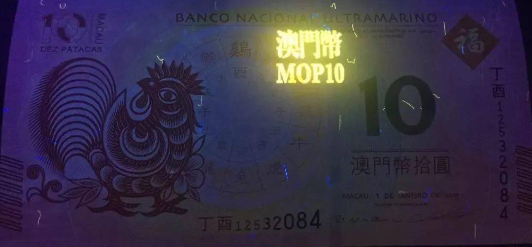 新澳门特彩生肖走势图，立异妄想执行