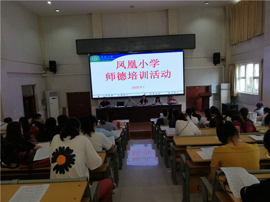 凤凰县小学最新招聘信息，周全解读招聘细节与招聘信息深度剖析