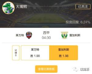 2025澳门今晚开特马开什么，实效设计计划