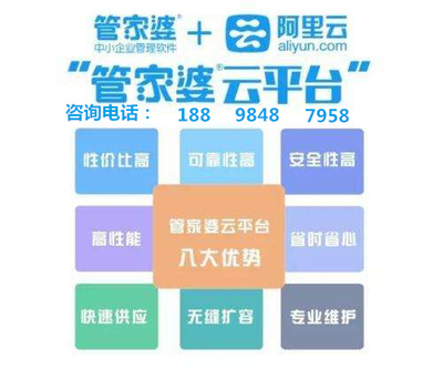 澳门管家婆100%精准，深入应用数据执行