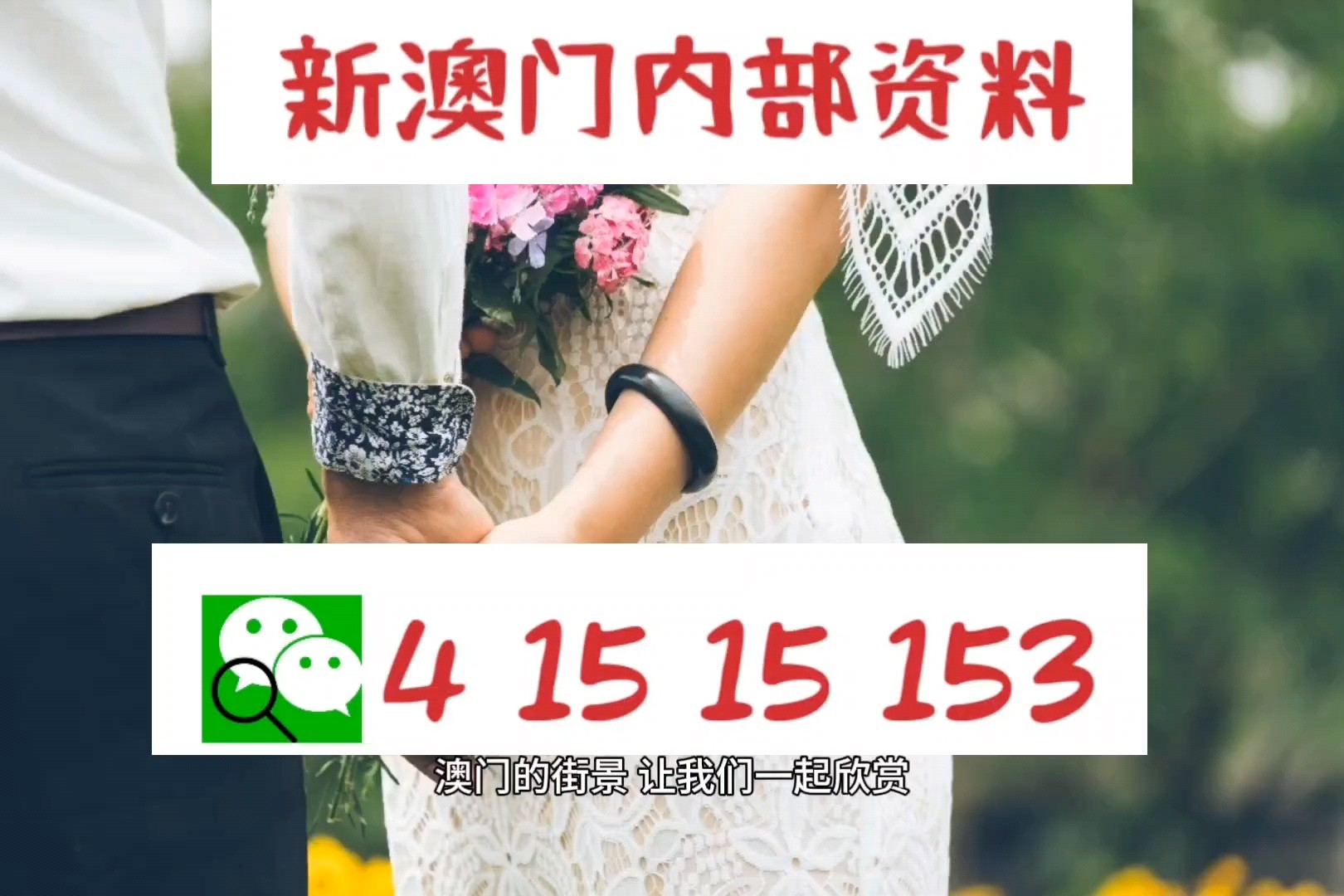 2024澳门精准正版免费，精准解答诠释界说