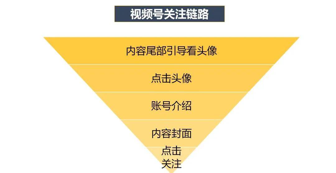 2025澳门天天开好彩，数据导向妄想设计