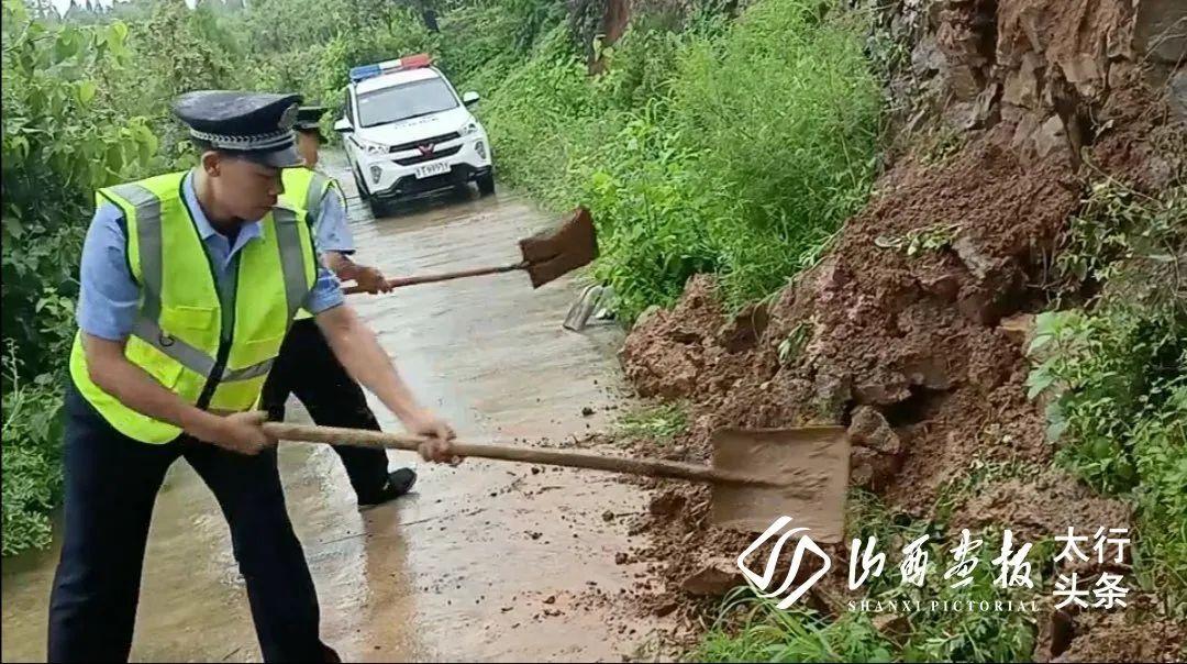金晨 第3页