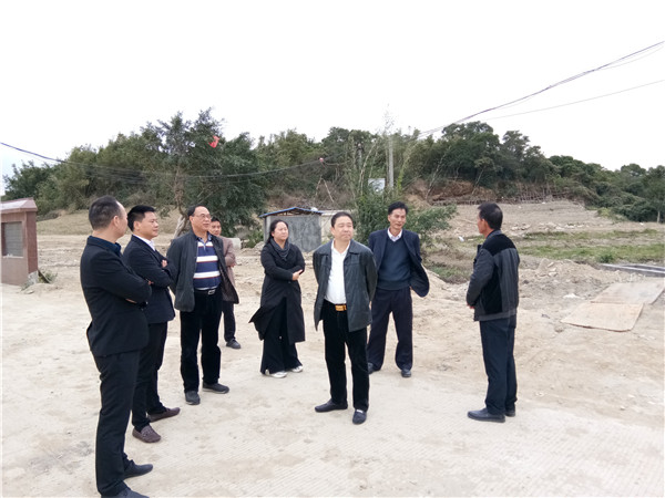 滨江区农业农村局推动农业现代化，助力墟落振兴最新新闻宣布