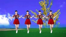 最新广场舞歌曲，舞动新时代的旋律韵律之美