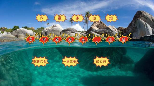 2025新澳门天天开好彩大全37b，综合剖析诠释界说，影像版82.777