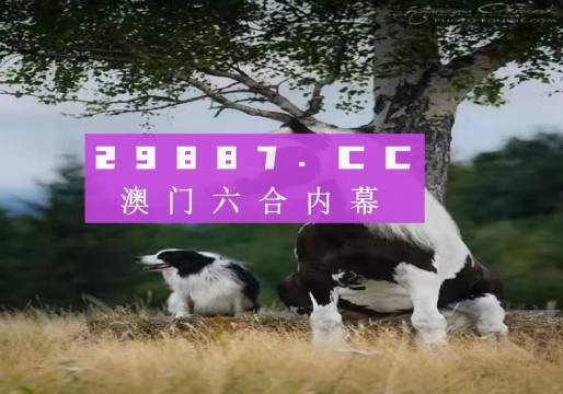 2025澳门精准正版生肖图，经典诠释落实，标配版80.584
