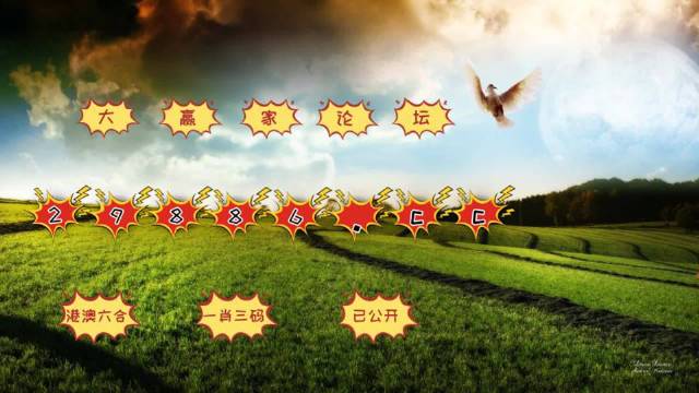 奥门开奖效果+开奖纪录2024年资料网站，长期性战略剖析，顶级款13.470