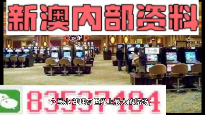 2024新澳门正版资料大全视频，实地解读说明，运动版52.990