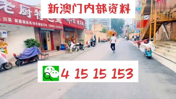 新澳天天开好彩资料大全，深入应用剖析数据，微型版31.579