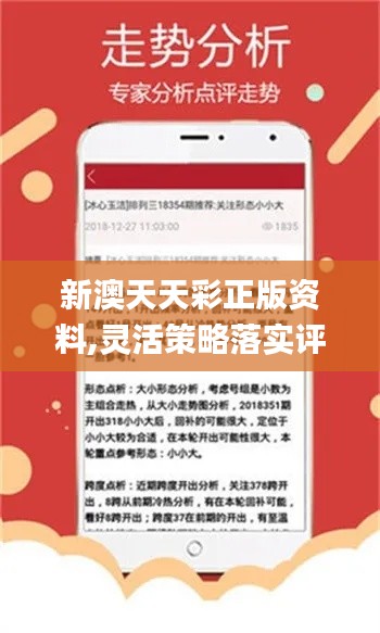 新澳天天开好彩大全正版，快速响应执行计划，特供版84.527