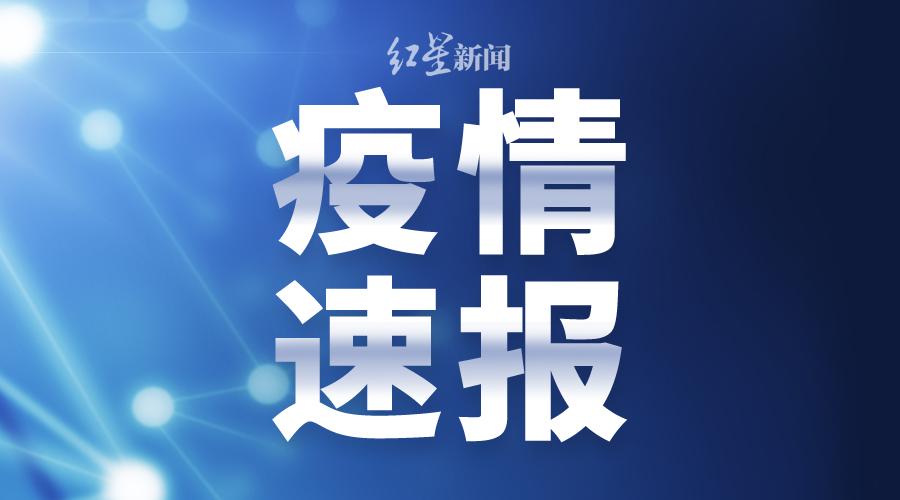新澳门天天免费精准大全，现实案例剖析说明，薄荷版11.789