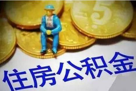 社保最新比例