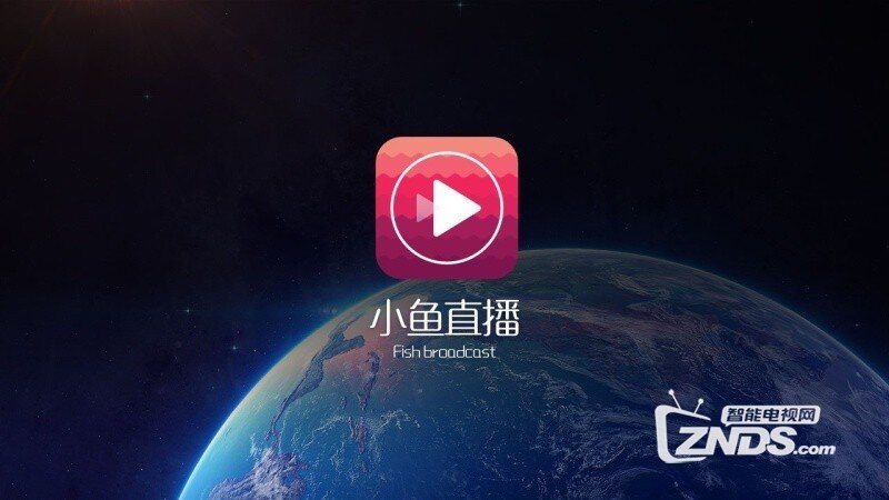 小鱼最新视频，探索未知，多彩生涯展现