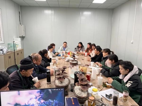 上海市人事局最新动态，都会人才生长新战略与调解