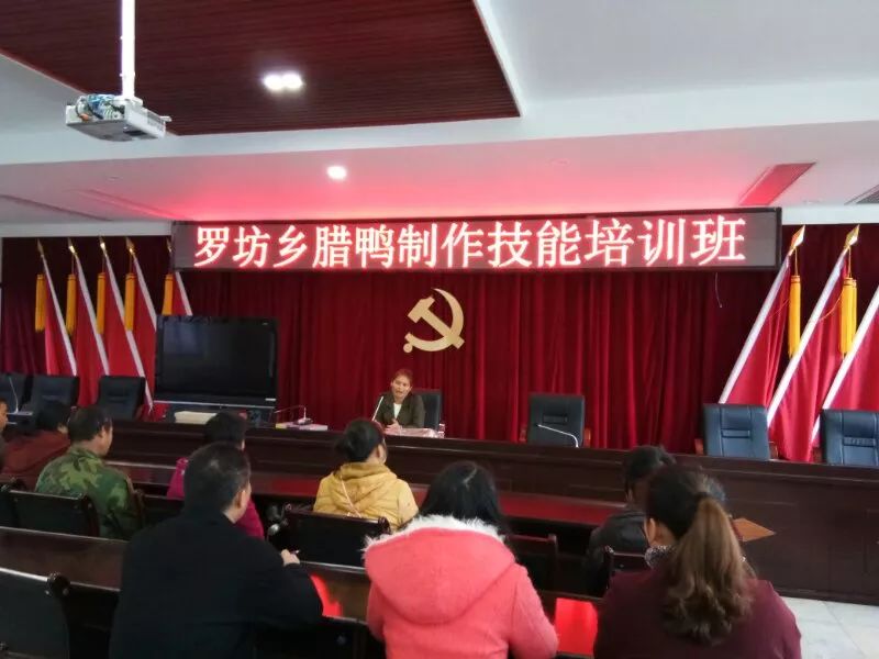 罗坊乡最新生长妄想，塑造墟落新面目，推动可一连生长历程