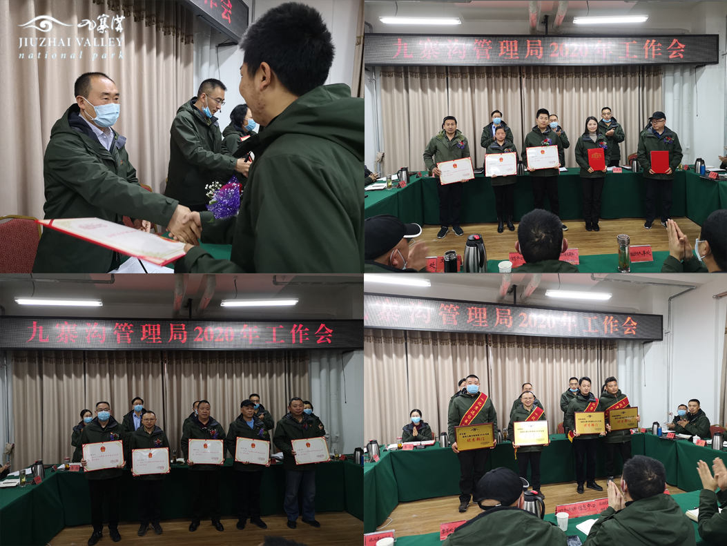 霍林郭勒市康复事业单位新任向导，引领未来康复之路的先锋规范