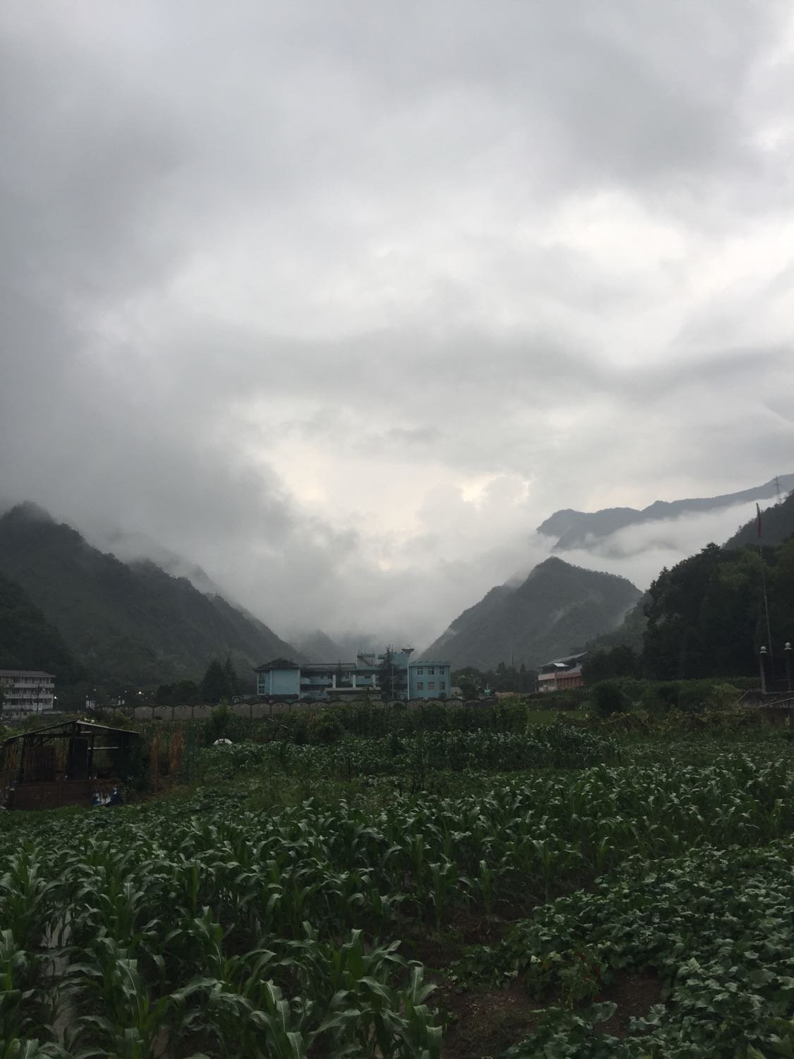 拉索村最新天气预告