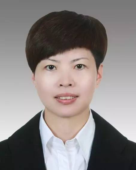 诸暨市数据和政务效劳局人事任命更新及动态剖析