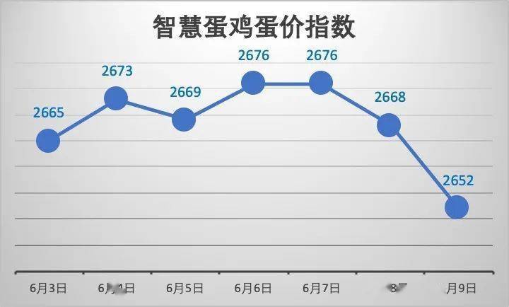 鸡蛋价钱最新动态剖析与趋势展望