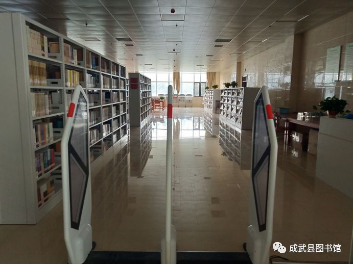彰武县图书馆最新项目，推动文化昌盛与社区生长的强盛引擎
