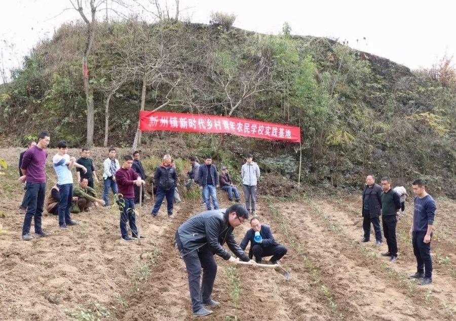 正安最新生长动态，探索前沿手艺，迈向未来新篇章