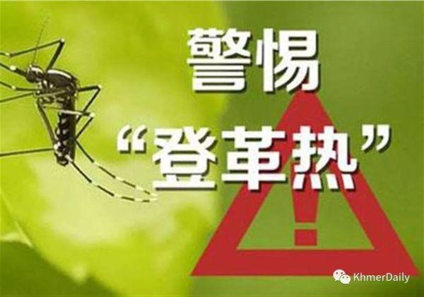 最新登革热