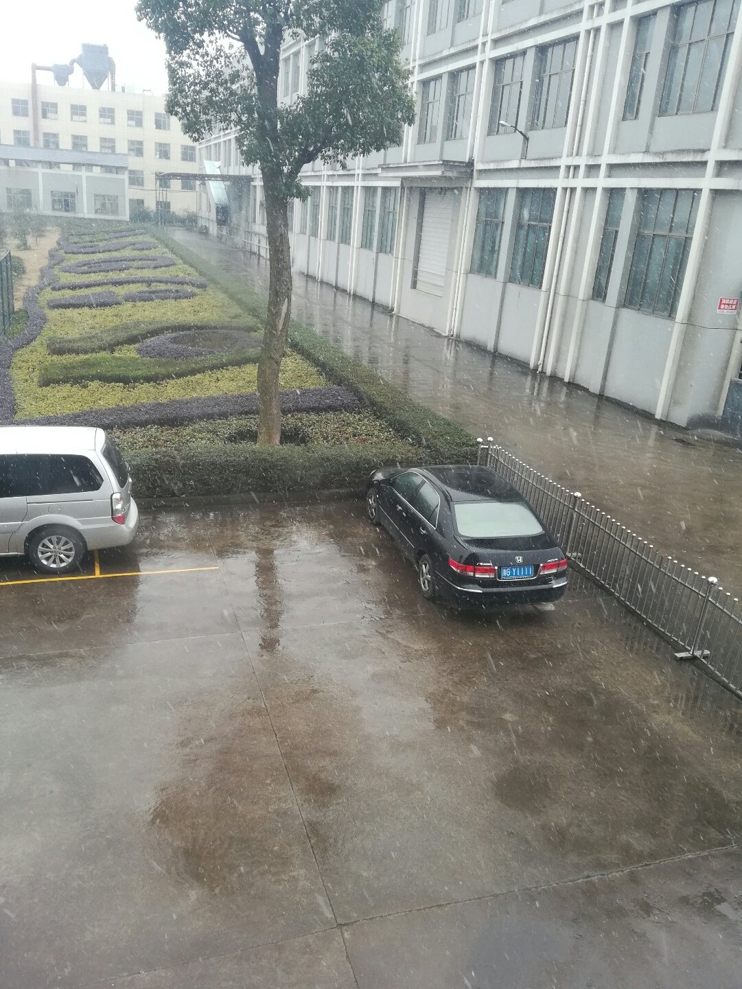 花卉莳植 第157页