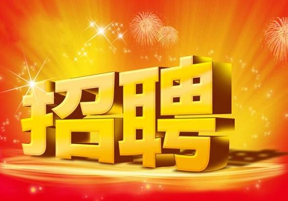 七台河最新招聘动态，职位空缺与蓬勃生长的招聘市场