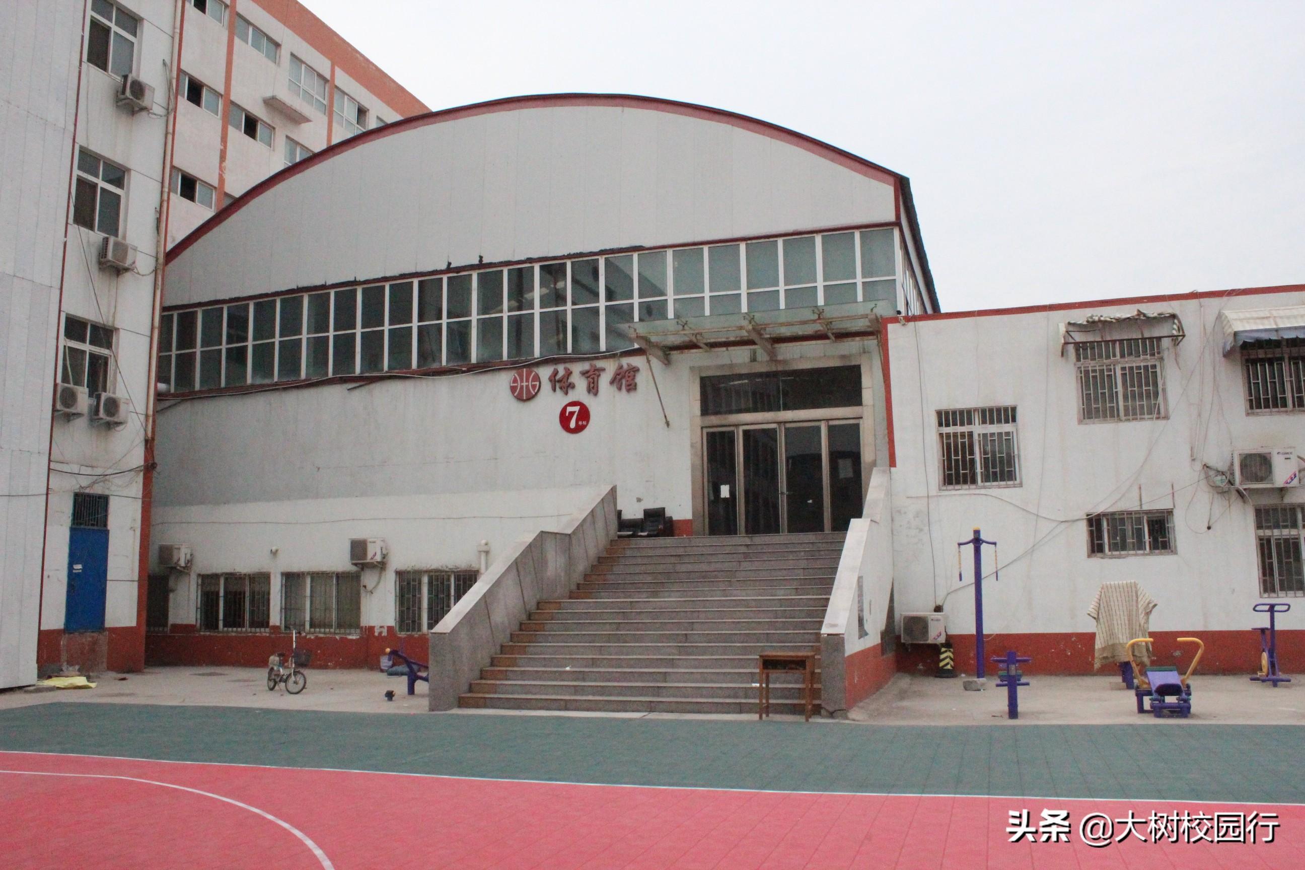 北林区体育馆，体育赛事与社区生长的融合之旅最新报道