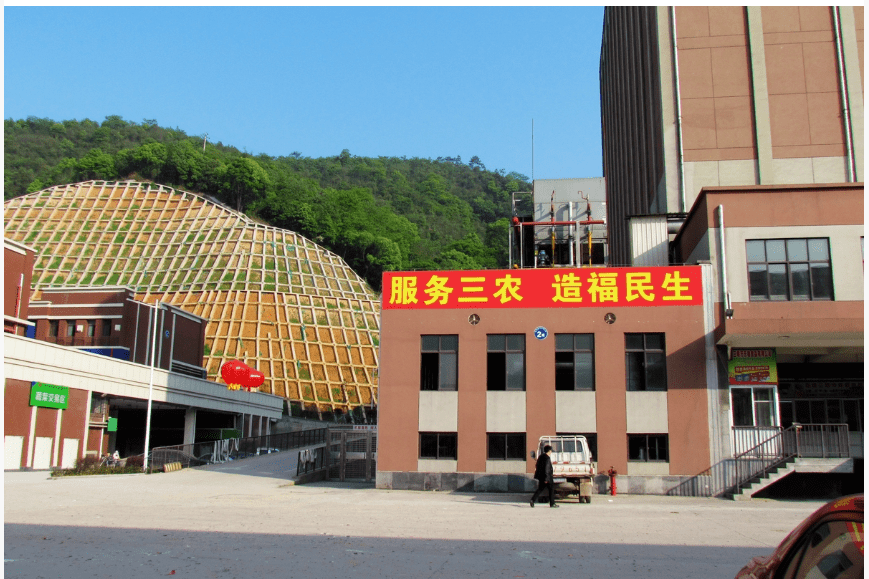 贺州市共青团市委人事大调解，青春实力共创优美未来
