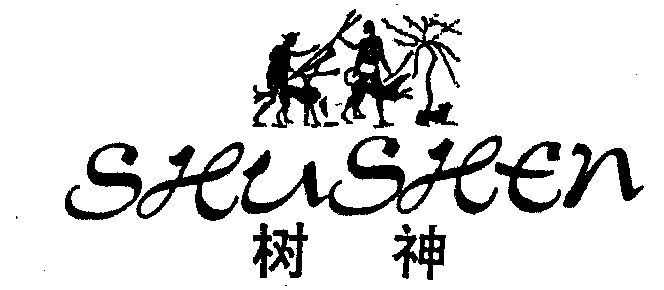 树神传说最新揭秘，神秘实力的探索与揭秘