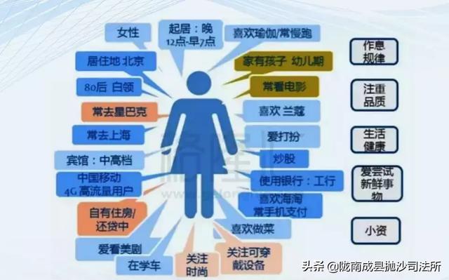 澳门三肖三准100,实地执行数据剖析_Plus10.242
