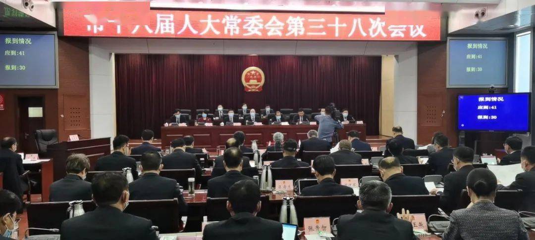 南充市招商增进局人事任命最新动态，新任向导及其影响展望