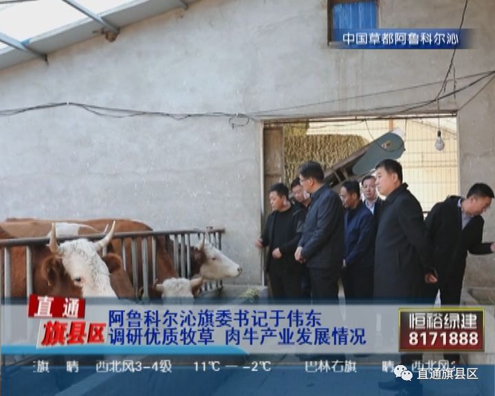 阿鲁科尔沁旗图书馆最新生长妄想揭秘，未来生长偏向与战略