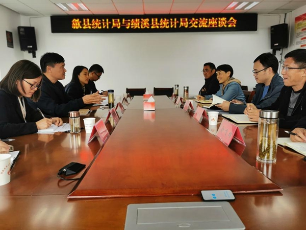 泾县统计局最新项目概览，探讨最新动态与效果