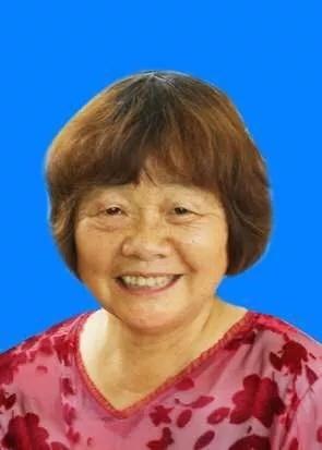 溆浦县小学最新项目，引领教育刷新，塑造未来之光启航行动