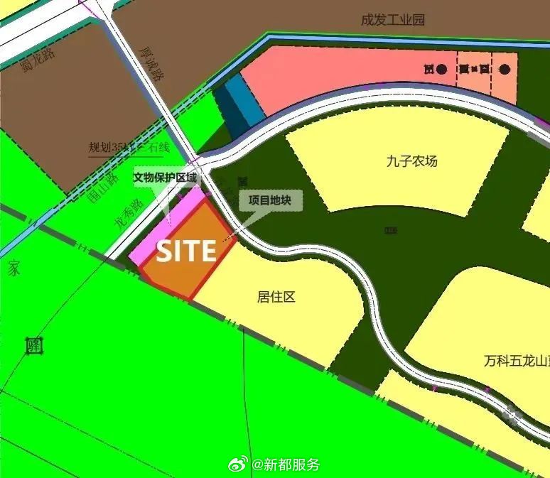 新都区初中未来教育蓝图，最新生长妄想揭秘