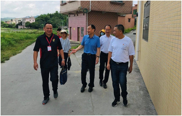 汤塘镇向导团队最新更新，引领地方生长的向导实力