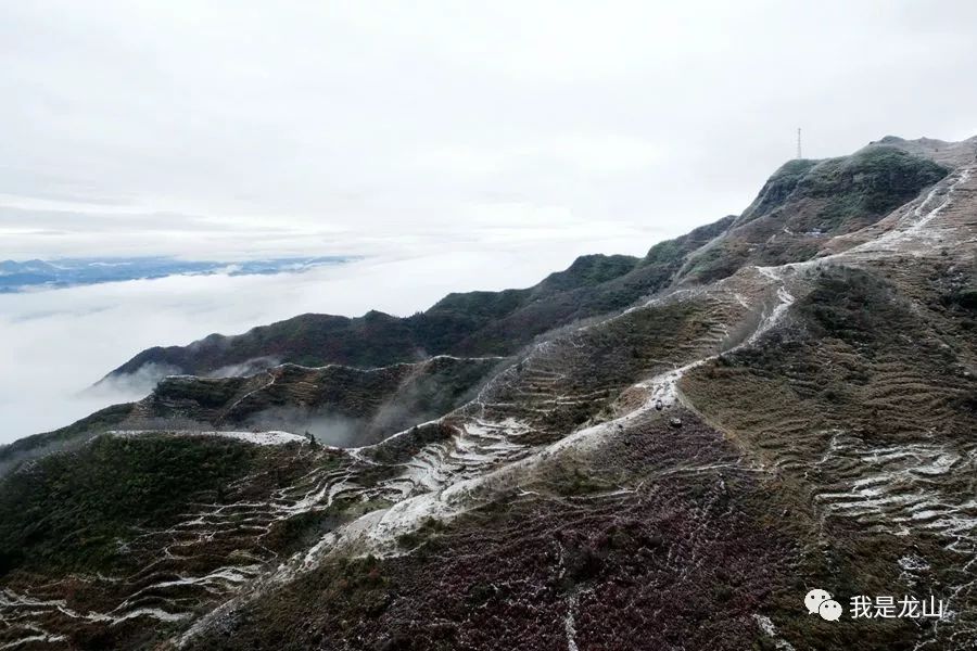 龙山新面目揭晓，揭开龙山最新新闻的神秘面纱