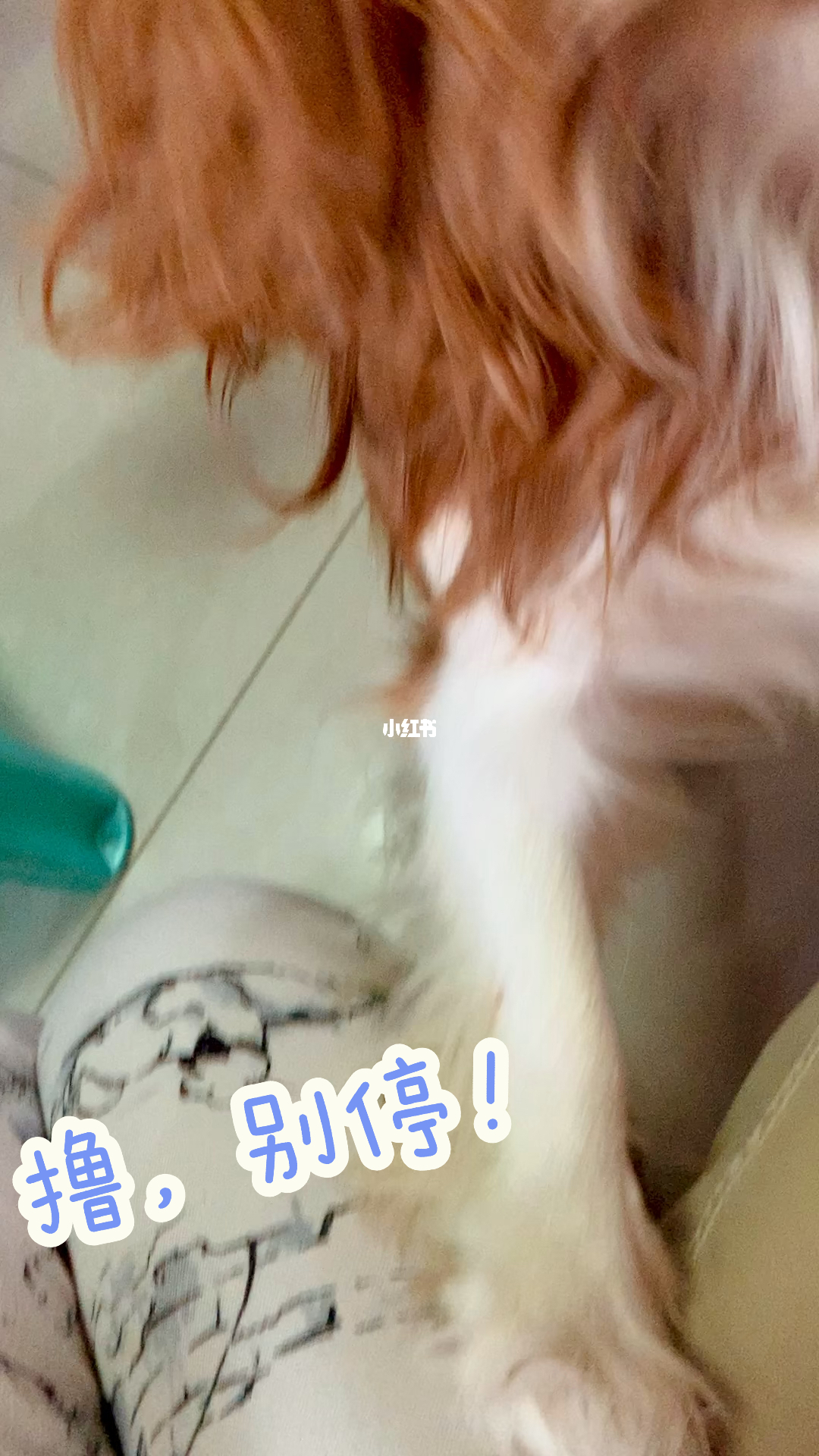 探索与反思，狠狠的撸最新版的深度探讨
